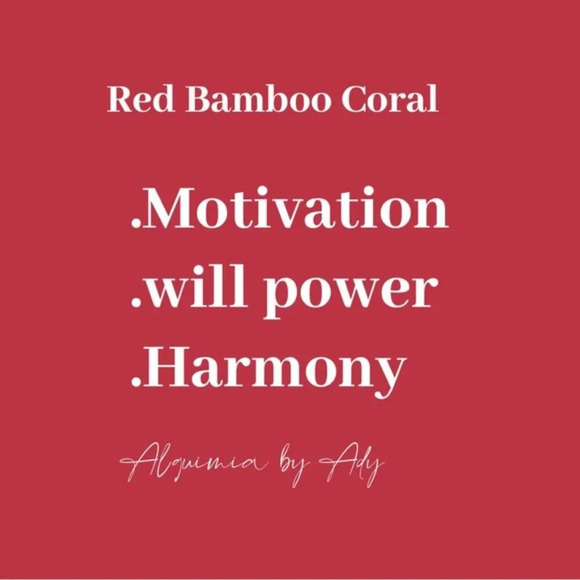 Bamboo coral silver statement bohemian dangle long earrings - Picture 3 of 4